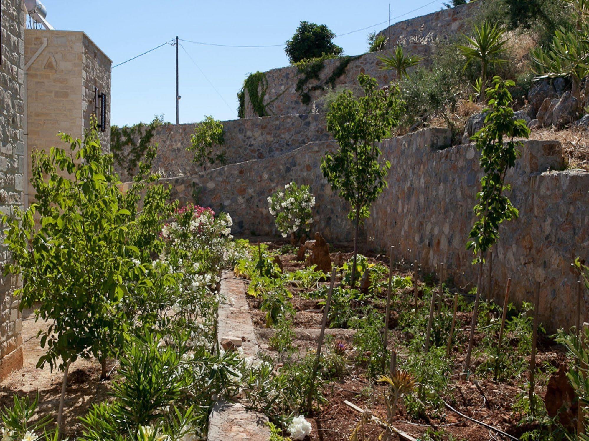 Villa Apollo - Saint George'S Retreat Village Kokkino Chorio Exterior photo